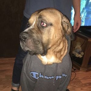 Meet your Posher, Austin